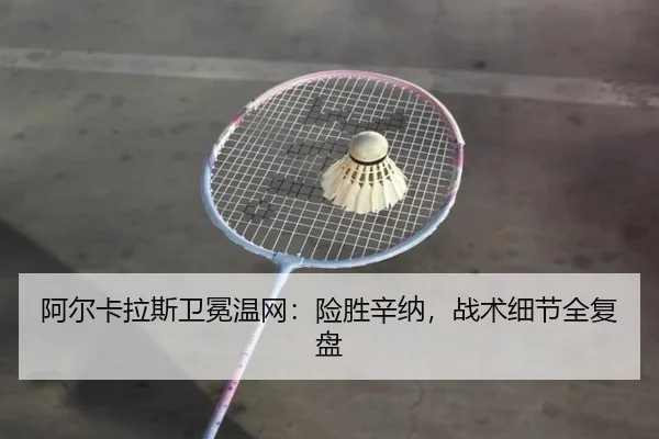 a-er-ka-la-si-wei-mian-wen-wang-xian-sheng-xin-na-zhan-shu-xi-jie-quan-fu-pan-3-180.jpg