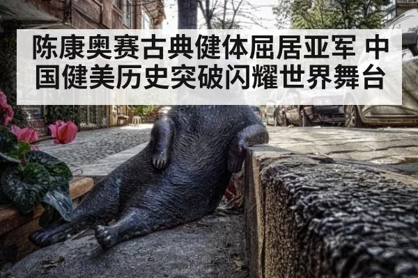 陈康奥赛古典健体屈居亚军 中国健美历史突破闪耀世界舞台